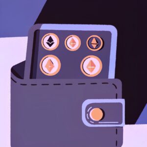 SafePro Electronic Wallet